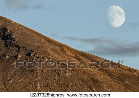 Stock Photograph - The near full moon over a mountain in the Yukon evening skies; Yukon, Canada. Fotosearch