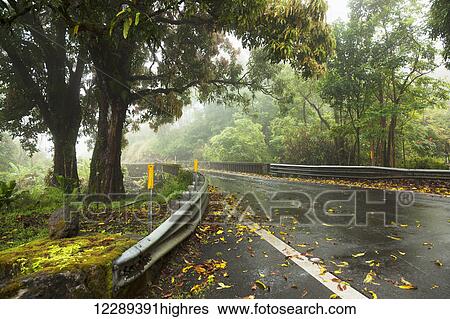 Stock Photograph - The road to Hana in rain; Maui, Hawaii, United States of America. Fotosearch