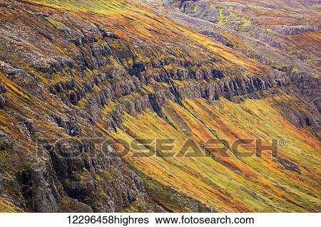 The steep sided cliffs of Icelands Westfjords are very colourful in any season; Iceland View Large Photo Image Stock Photograph - The steep sided cliffs of Icelands Westfjords are very colourful in any season; Iceland. Fotosearch