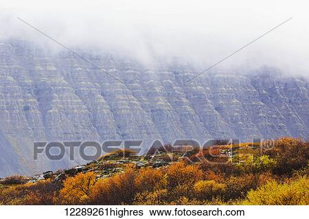Stock Photograph - The tiered cliff faces of the Westfjords are shrouded in clouds and mist as autumn begins in Iceland; Iceland. Fotosearch
