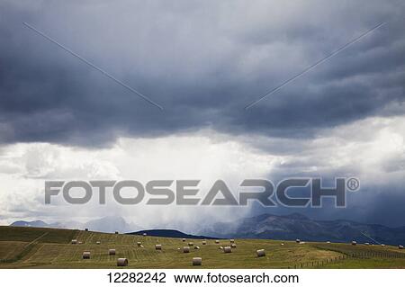 Stock Image - The view of a field full of bales during a storm near Waterton Lakes National Park; Alberta, Canada. Fotosearch
