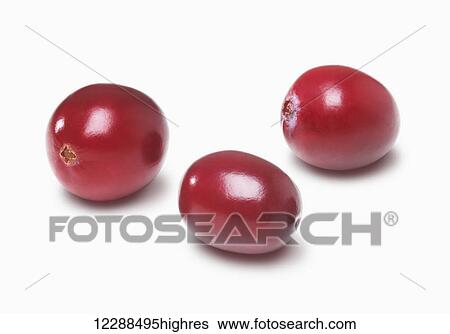 Stock Photograph - Three cranberries on a white background; Toronto, Ontario, Canada. Fotosearch