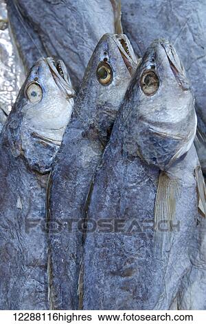 Stock Photograph - Three dried bluefish (Pomatomus saltatrix) in wet market; Hong Kong, China. Fotosearch