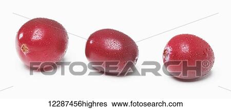 Stock Photograph - Three fresh cranberries on a white background; Toronto, Ontario, Canada. Fotosearch