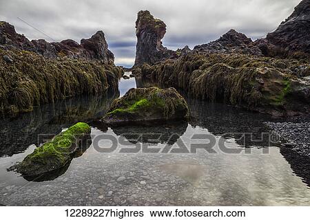 Stock Photograph - Tidal Pool on the beach called Djupalonsanndur on the western coast of Iceland; Iceland. Fotosearch