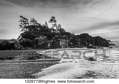 Tide coming in along the coast under a cloudy sky; Tofino, British Columbia, Canada View Large Photo Image Stock Photograph - Tide coming in along the coast under a cloudy sky; Tofino, British Columbia, Canada. Fotosearch