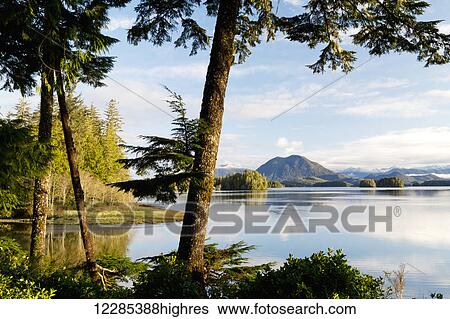Tofino Chalet, Jensen's Bay; Tofino, British Columbia, Canada View Large Photo Image Stock Photograph - Tofino Chalet, Jensen's Bay; Tofino, British Columbia, Canada. Fotosearch