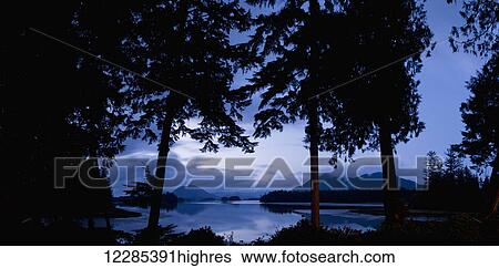 Tofino Chalet, Jensen's Bay; Tofino, British Columbia, Canada View Large Photo Image Stock Photograph - Tofino Chalet, Jensen's Bay; Tofino, British Columbia, Canada. Fotosearch