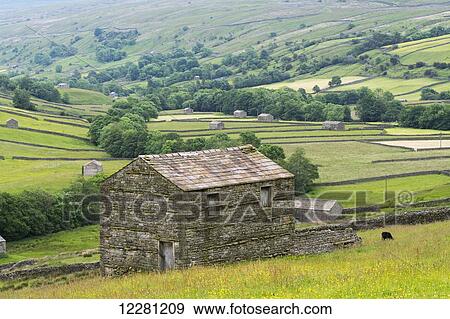 Traditional stone barn above Thwaite, looking down Swaledale; North Yorkshire, England View Large Photo Image Stock Photo - Traditional stone barn above Thwaite, looking down Swaledale; North Yorkshire, England. Fotosearch