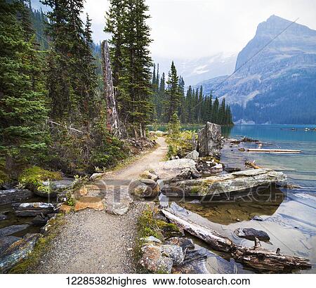Stock Photograph - Trail around Lake O'Hara, Yoho National Park; British Columbia, Canada. Fotosearch