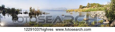 Tranquil Sea of Galilee and a view of the shoreline; Galilee, Israel View Large Photo Image Stock Photograph - Tranquil Sea of Galilee and a view of the shoreline; Galilee, Israel. Fotosearch