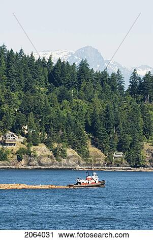 Stock Image - Tug Boat Pulling Logs Through The Ocean With Mountains In The Background, Howe Sound, Bc. Fotosearch