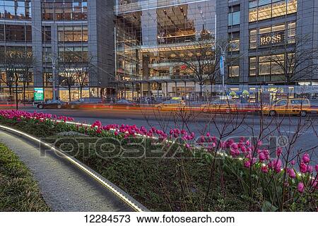 Tulip display at Time Warner Center at twilight, Columbus Circle; New York City, New York, United States of America View Large Photo Image Stock Image - Tulip display at Time Warner Center at twilight, Columbus Circle; New York City, New York, United States of America. Fotosearch
