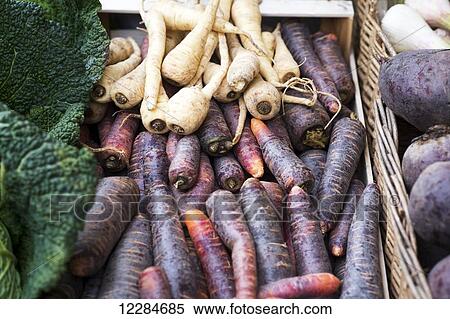 Turnips at a farmers market; Frankfurt, Germany View Large Photo Image Stock Photography - Turnips at a farmers market; Frankfurt, Germany. Fotosearch