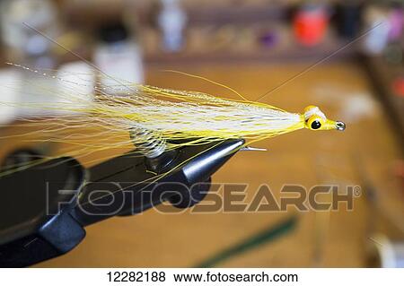 Tying flies; Chilliwack, British Columbia, Canada View Large Photo Image Stock Photo - Tying flies; Chilliwack, British Columbia, Canada. Fotosearch