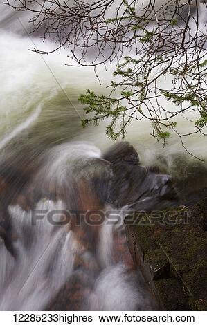 Stock Photograph - Un-named creek and Sitka spruce branches; Kodiak, Alaska, United States of America. Fotosearch