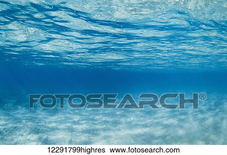 Underwater View Large Photo Image Stock Photograph - Underwater. Fotosearch