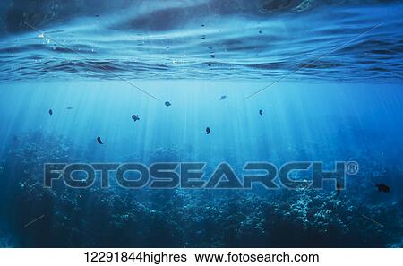 Underwater View Large Photo Image Stock Photograph - Underwater. Fotosearch