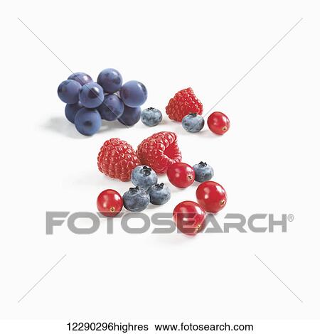 Stock Photograph - Variety of berries on a white background; Toronto, Ontario, Canada. Fotosearch