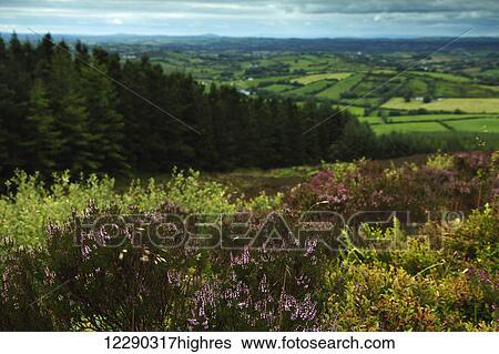 Stock Photograph - View from the top of Loughanleagh mountain; County Cavan, Ireland. Fotosearch
