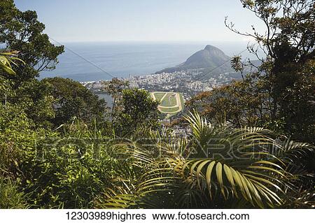 Stock Photograph - View of Jockey Club and Leblon from Christ the Redeemer statue, Corcovado mountain, Tijaca National Park; Rio de Janeiro, Brazil. Fotosearch