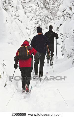Stock Photo - View Of Skiers And Snow-Covered Trees, Quebec, Canada. Fotosearch