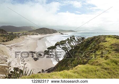 Stock Photo - View of the seaside, South Pacific; North Island, New Zealand. Fotosearch