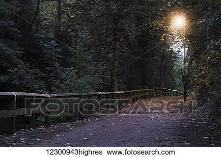 Stock Photograph - Walking path illuminated by a lamp post at dusk; Newcastle, Tyne and Wear, England. Fotosearch
