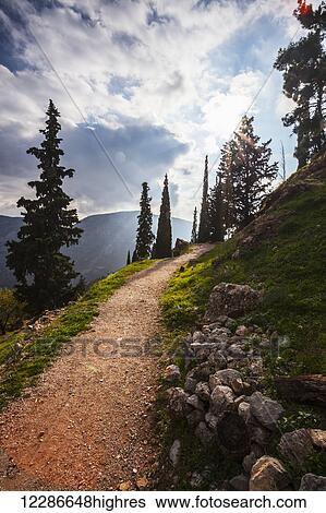 Walking path on Mount Parnassus; Delphi, Greece View Large Photo Image Stock Photograph - Walking path on Mount Parnassus; Delphi, Greece. Fotosearch