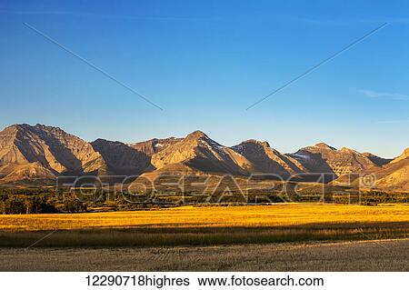 Warm lit mountain range at sunrise with foothills, grassland and blue sky; Waterton, Alberta, Canada View Large Photo Image Stock Photograph - Warm lit mountain range at sunrise with foothills, grassland and blue sky; Waterton, Alberta, Canada. Fotosearch