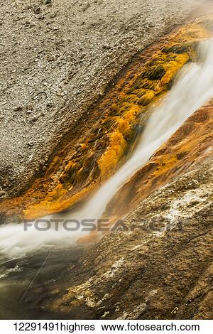 Water flows from a hot spring in the Norris Geyser Basin in Yellowstone National Park; Wyoming, United States of America View Large Photo Image Stock Photograph - Water flows from a hot spring in the Norris Geyser Basin in Yellowstone National Park; Wyoming, United States of America. Fotosearch