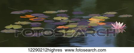 Stock Photograph - Water lilies (Nymphaeaceae) on a pond; Alberta, Canada. Fotosearch