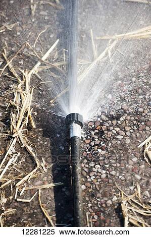Stock Photography - Water spraying out of a leak in a worn hose pipe; United Kingdom. Fotosearch