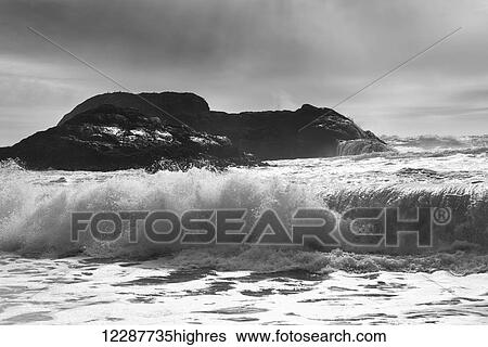 Waves rolling into shore; Tofino, British Columbia, Canada View Large Photo Image Stock Photograph - Waves rolling into shore; Tofino, British Columbia, Canada. Fotosearch