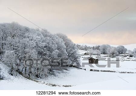Picture - Wensleydale in the aftermath of a very heavy snow shower, near Hawes; North Yorkshire, England. Fotosearch