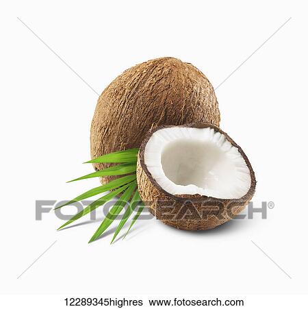 Whole and half coconut on white background; Toronto, Ontario, Canada View Large Photo Image Stock Photograph - Whole and half coconut on white background; Toronto, Ontario, Canada. Fotosearch