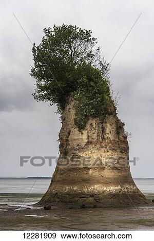 Stock Photo - Willapa Bay, made of clay; Bay Center, Washington, United States of America. Fotosearch