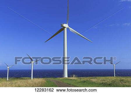Stock Image - Windmills, North Kohala, Upolu; Island of Hawaii, Hawaii, United States of America. Fotosearch