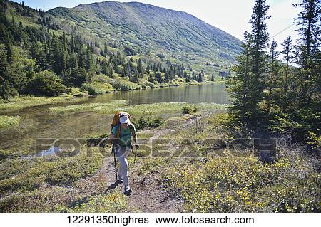 Stock Photograph - Woman backpacker hikes along Upper Fuller Lake in the Kenai National Wildlife Refuge on the Kenai Peninsula in South-central Alaska. Fotosearch