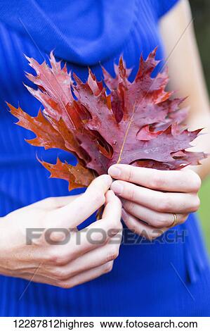 Woman in a bright blue dress holding autumn coloured leaves, Bear Creek Park; Surrey, British Columbia, Canada View Large Photo Image Stock Photograph - Woman in a bright blue dress holding autumn coloured leaves, Bear Creek Park; Surrey, British Columbia, Canada. Fotosearch