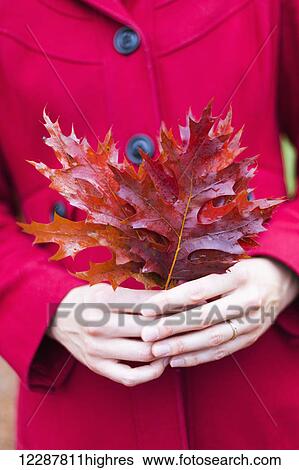 Stock Photograph - Woman in a bright red coat holding autumn coloured leaves, Bear Creek Park; Surrey, British Columbia, Canada. Fotosearch