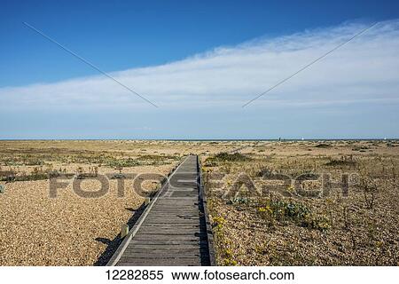 Wooden path on the coast; Dungeness, Kent, England View Large Photo Image Stock Photography - Wooden path on the coast; Dungeness, Kent, England. Fotosearch