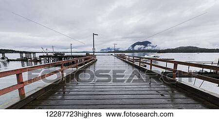 Wooden pier leading to docks in the harbour; Tofino, British Columbia, Canada View Large Photo Image Stock Photograph - Wooden pier leading to docks in the harbour; Tofino, British Columbia, Canada. Fotosearch