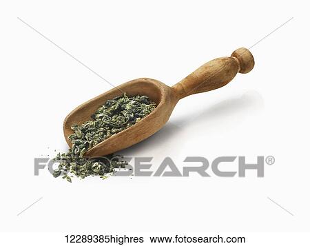 Stock Photograph - Wooden scoop filled with a dried herb against a white background; Toronto, Ontario, Canada. Fotosearch
