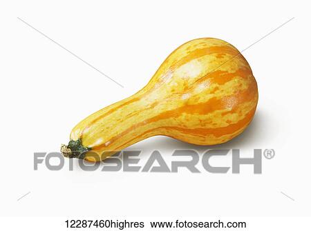 Stock Photograph - Yellow and orange squash on a white background; Toronto, Ontario, Canada. Fotosearch