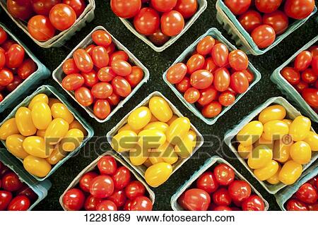 Yellow and red cherry tomatoes in containers; Denton, Maryland, United States of America View Large Photo Image Stock Photo - Yellow and red cherry tomatoes in containers; Denton, Maryland, United States of America. Fotosearch