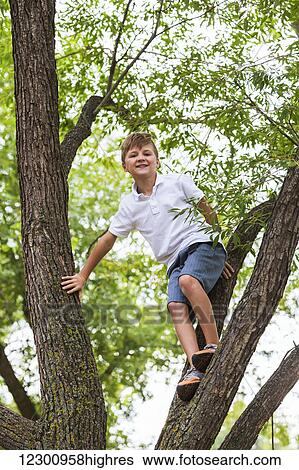 Young boy climbing in a tree in a park; Edmonton, Alberta, Canada View Large Photo Image Stock Photograph - Young boy climbing in a tree in a park; Edmonton, Alberta, Canada. Fotosearch