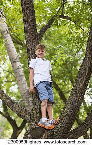 Stock Photograph - Young boy climbing in a tree in a park; Edmonton, Alberta, Canada. Fotosearch