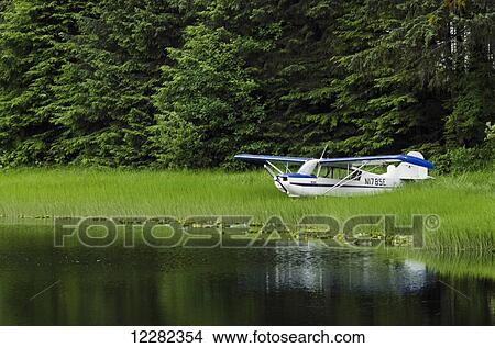1946 Aeronca 7AC Champion tandem-seat float plane parked on edge of Auke Lake, Juneau, Southeast Alaska View Large Photo Image Picture - 1946 Aeronca 7AC Champion tandem-seat float plane parked on edge of Auke Lake, Juneau, Southeast Alaska. Fotosearch