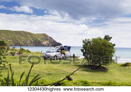 A beachfront campsite on the northernmost tip of the Coromandel Peninsula; Port Jackson, Waikato, New Zealand View Large Photo Image Stock Photograph - A beachfront campsite on the northernmost tip of the Coromandel Peninsula; Port Jackson, Waikato, New Zealand. Fotosearch